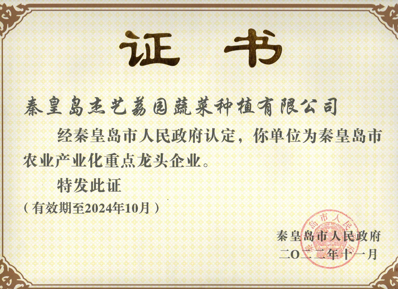 龙头企业证书2024年